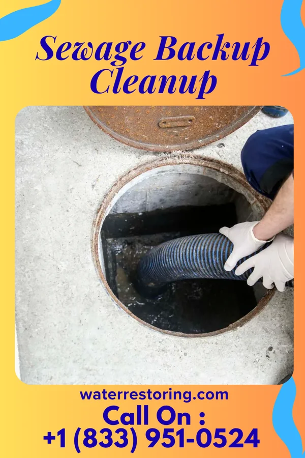 Sewage Backup Cleanup in Wingate, IN